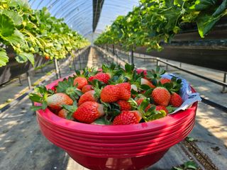 안성화님의 작성글 사진