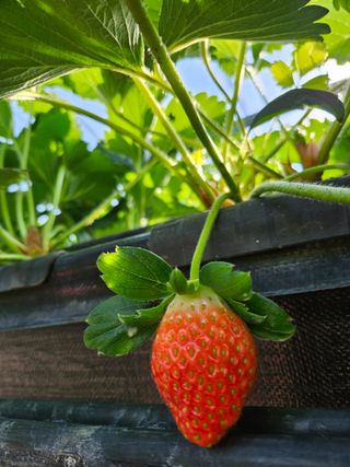 안성화님의 작성글 사진