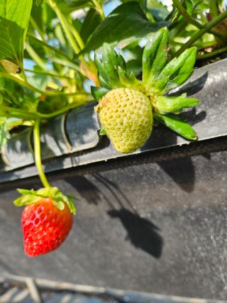 안성화님의 작성글 사진