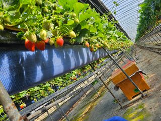 안성화님의 작성글 사진