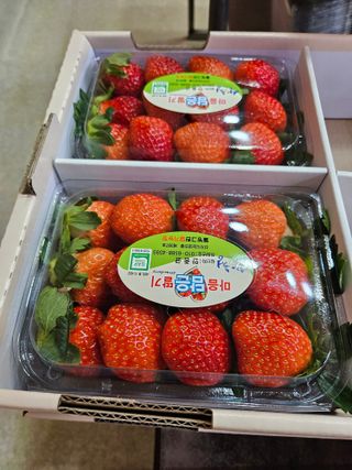 안성화님의 작성글 사진