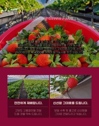 안성화님의 작성글 사진