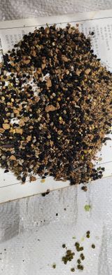 팜모닝 콩·영농일지 게시글 이미지