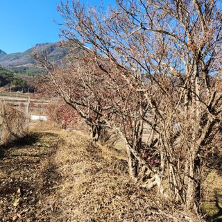 권영동 님의 자유주제 · 자유게시판 작성글 사진