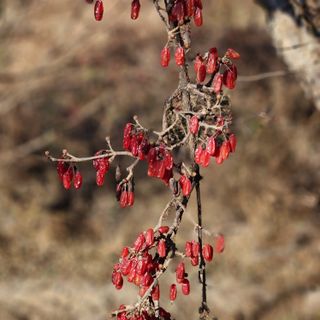권영동 님의 자유주제 · 자유게시판 작성글 사진