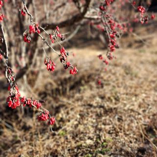 권영동 님의 자유주제 · 자유게시판 작성글 사진