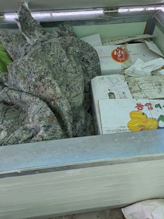 김성문님의 감 · 영농일지 작성글 사진