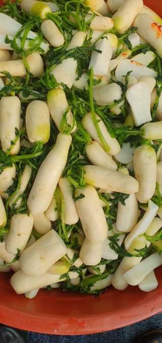 행복한사피님의 자유주제 · 자유게시판 작성글 사진