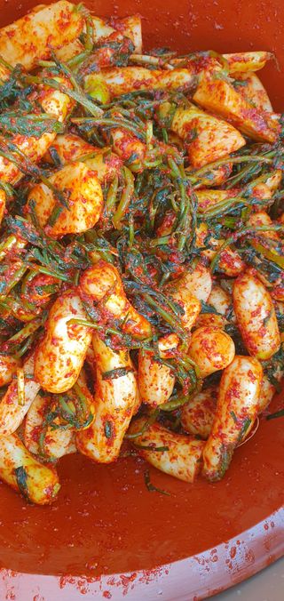 행복한사피님의 자유주제 · 자유게시판 작성글 사진