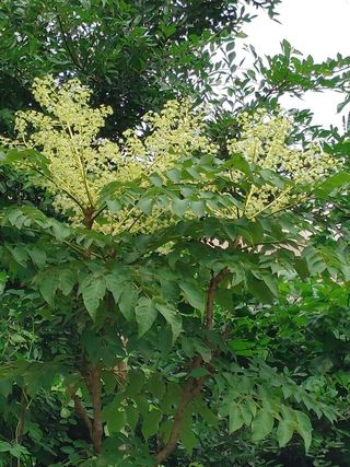 예스맴님의 팜모닝 · 출석 작성글 사진