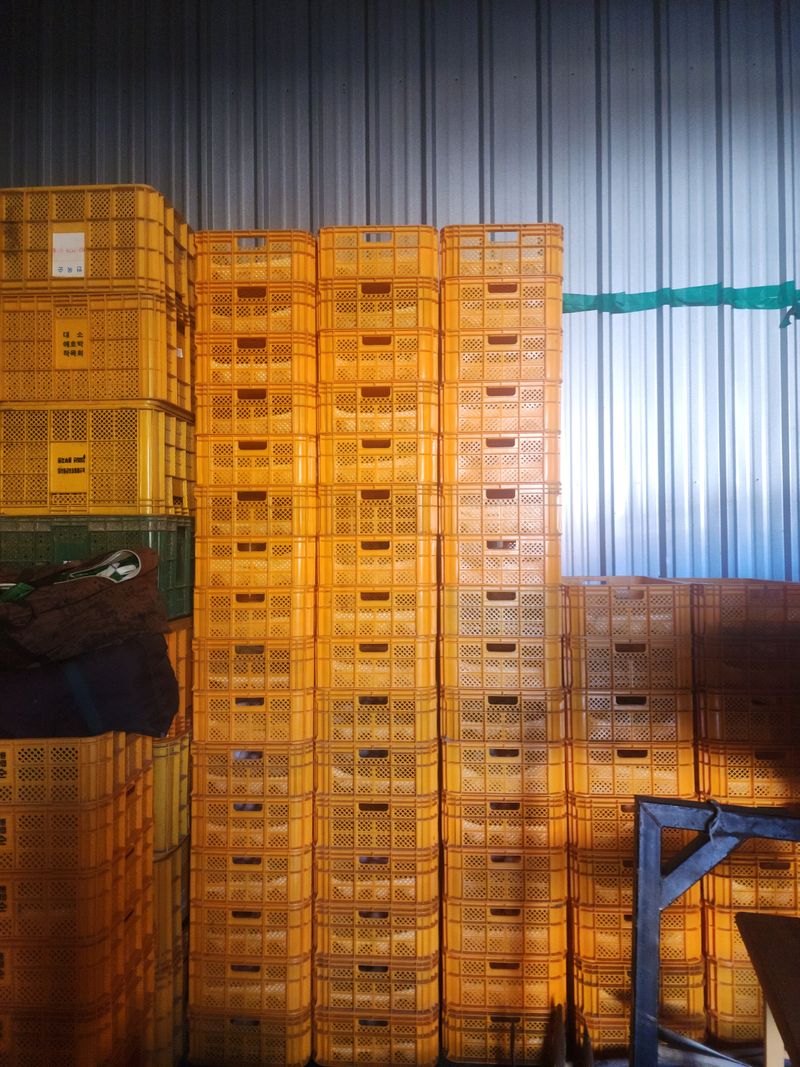 장터 상품 [사과박스 ] 썸네일