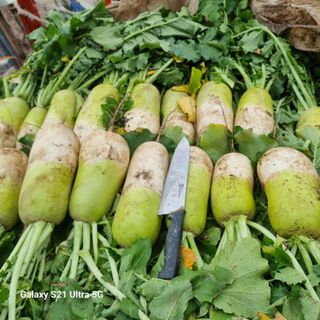 이천산수유님의 12월 내 작물 자랑하기·참여글 작성글 사진