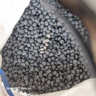 이천산수유님의 12월 내 작물 자랑하기 · 참여글 작성글 사진