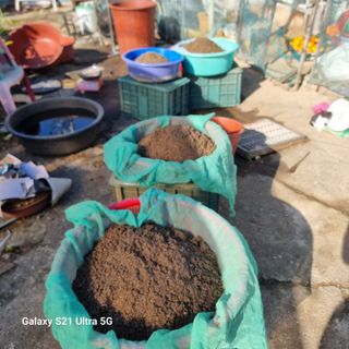 이천산수유님의 12월 내 작물 자랑하기 · 참여글 작성글 사진