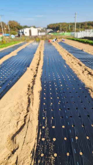 이천산수유님의 12월 내 작물 자랑하기 · 참여글 작성글 사진