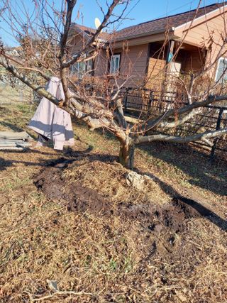 땅땅님의 자유주제 · 자유게시판 작성글 사진