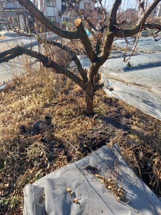 땅땅님의 자유주제 · 자유게시판 작성글 사진