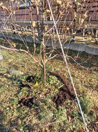 땅땅님의 자유주제 · 자유게시판 작성글 사진