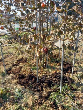 땅땅님의 자유주제 · 자유게시판 작성글 사진