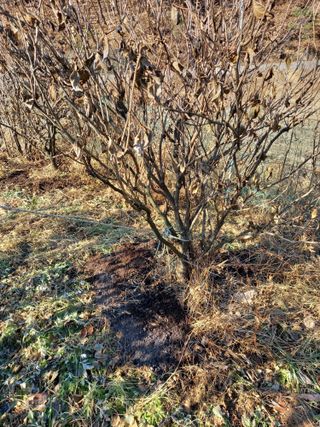 땅땅님의 자유주제 · 자유게시판 작성글 사진