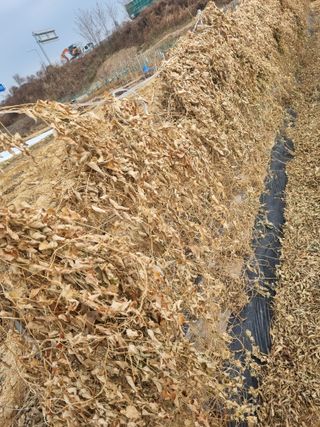 김한수님의 12월 내 작물 자랑하기 · 참여글 작성글 사진