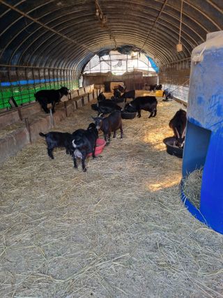 민들레님의 자유주제 · 자유게시판 작성글 사진