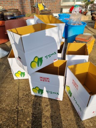 민들레님의 자유주제 · 자유게시판 작성글 사진