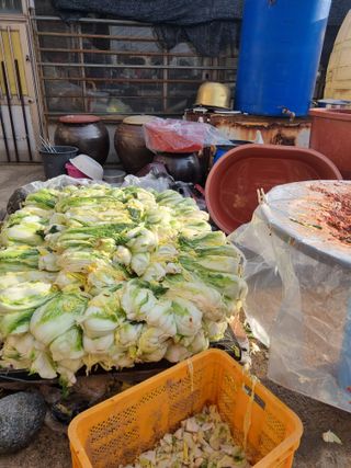 민들레님의 자유주제 · 자유게시판 작성글 사진