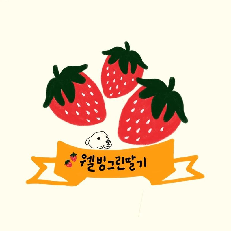 안성화님의 장터 판매 상품 [산청 설향 딸기 1kg] 첨부 사진