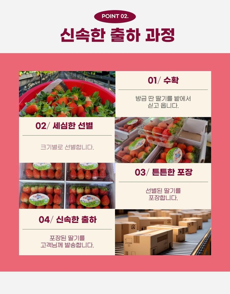 안성화님의 장터 판매 상품 [산청 설향 딸기 1kg] 첨부 사진