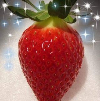 안성화님의 작성글 사진