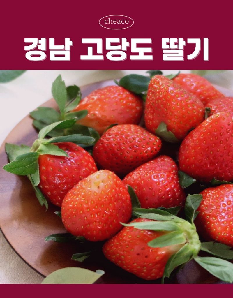 안성화님의 장터 판매 상품 [산청 설향 딸기 1kg] 첨부 사진