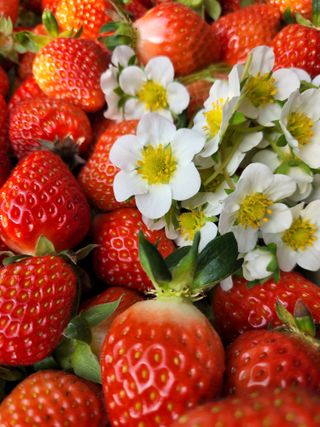 안성화님의 작성글 사진