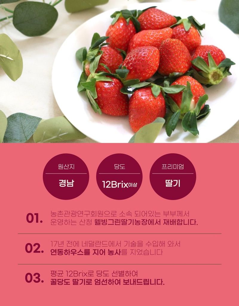 안성화님의 장터 판매 상품 [산청 설향 딸기 1kg] 첨부 사진