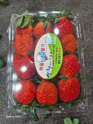 안성화님의 작성글 사진