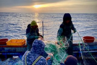 노가네수산님의 우리동네 · 동네정보 작성글 사진