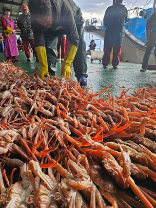 노가네수산님의 우리동네 · 동네정보 작성글 사진