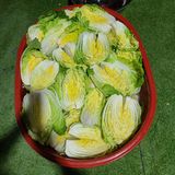 늘항상한결님의 12월 내 작물 자랑하기·참여글 작성글 사진