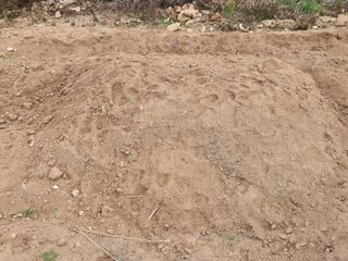 징금다리님의 12월 내 작물 자랑하기 · 참여글 작성글 사진