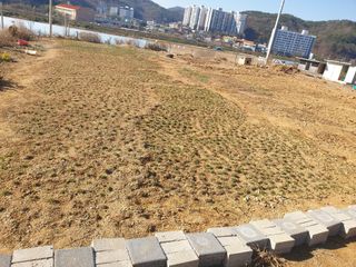 알 수 없음님의 12월 내 작물 자랑하기 · 참여글 작성글 사진