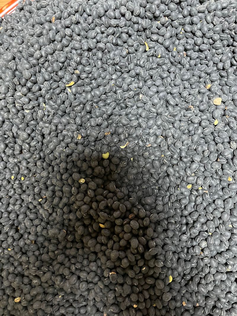 장터 상품 [청자5호] 썸네일