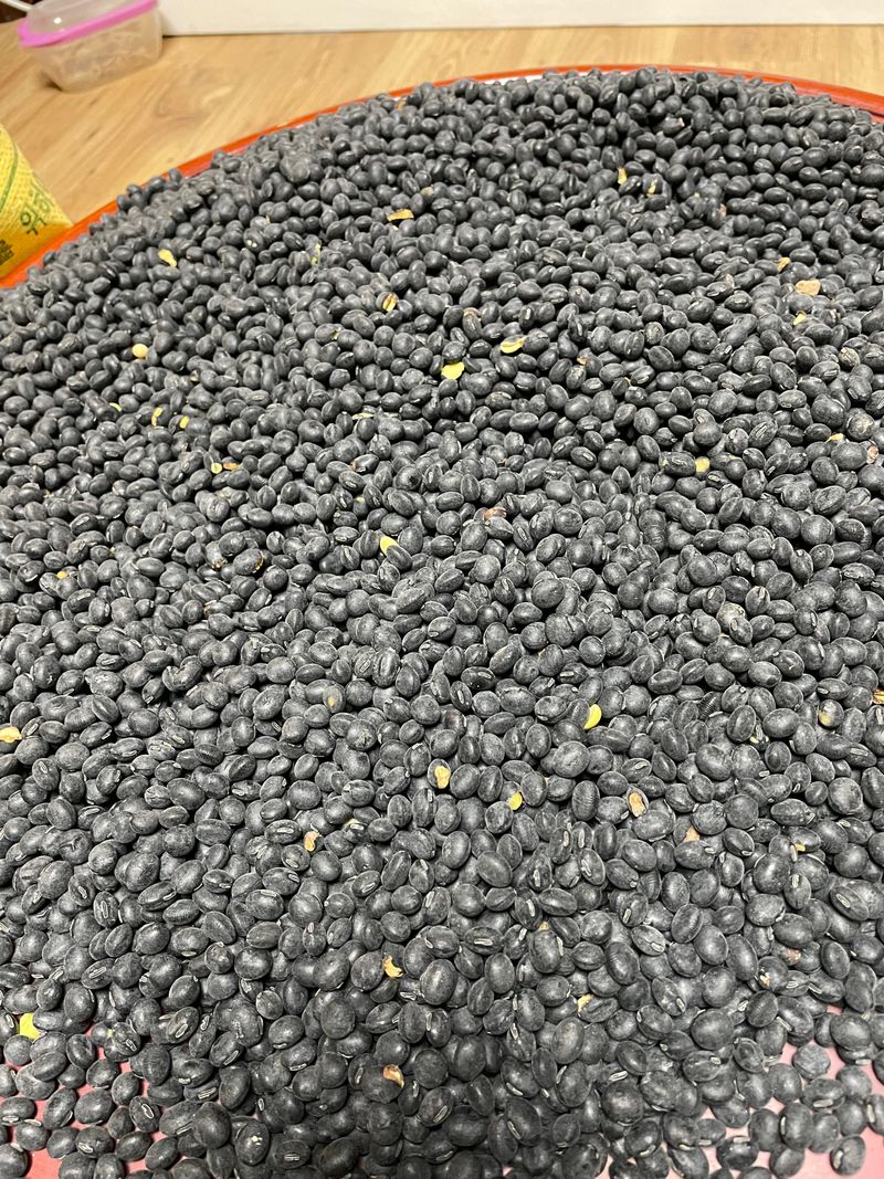 정연희님의 장터 판매 상품 [청자5호] 첨부 사진