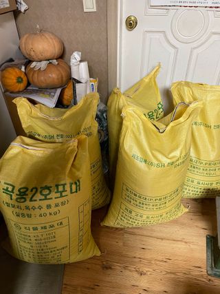 정연희님의 작성글 사진