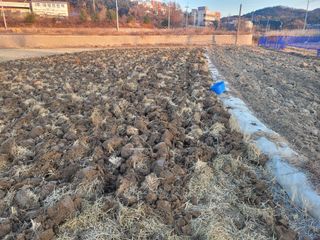 조성재님의 자유주제 · 자유게시판 작성글 사진