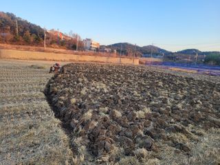 조성재님의 자유주제 · 자유게시판 작성글 사진