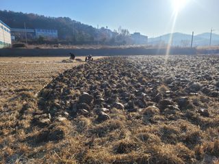 조성재님의 자유주제 · 자유게시판 작성글 사진
