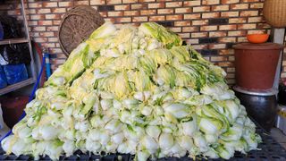 송명자님의 배추 · 일상 작성글 사진