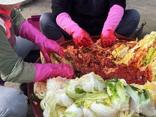 송명자님의 배추 · 일상 작성글 사진