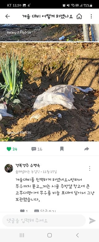 짱순이연속8월출석왕님의 12월 내 작물 자랑하기 · 참여글 작성글 사진