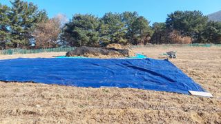 박진하님의 콩 · 자유게시판 작성글 사진